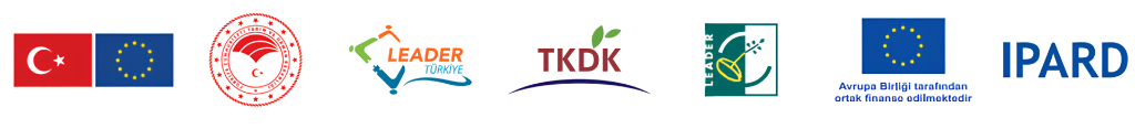 Institutional Logos