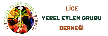 LİCE YEREL EYLEM GRUBU DERNEĞİ